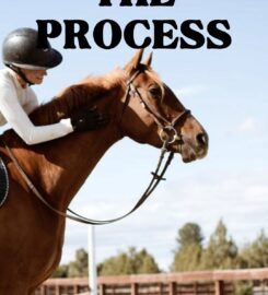 Equestrian
