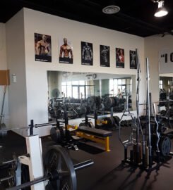 Iron Addicts Gym – Las Vegas