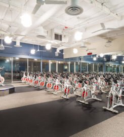 Fitness 19