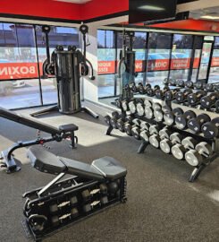 Knockout Fitness Mesa