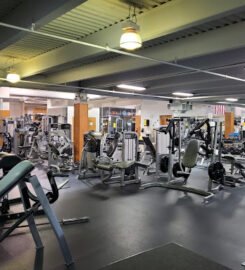 Bee Fit Health Club