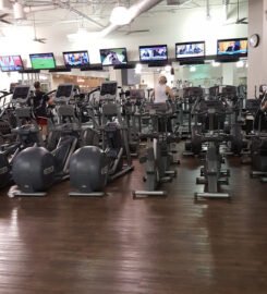 Fitness 19