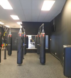 Box BFLO