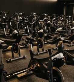 Harness Cycle