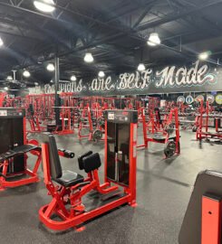 Animus Personal Training