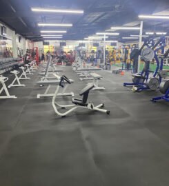 Hank’s Gym