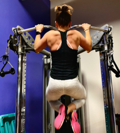 DMSfit