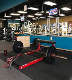 Island Fitness