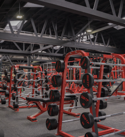 Self Made Training Facility Hollywood – Personal Training Gym