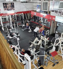 Gallo 8 Gym