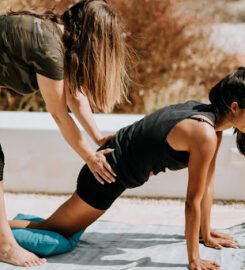 Terra Physical Therapy Wellness  PLLC