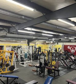THE FREE WEIGHT GYM