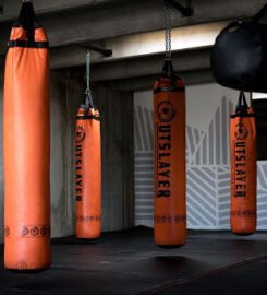 City Wolves MMA