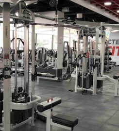 Ben Gommel Fitness