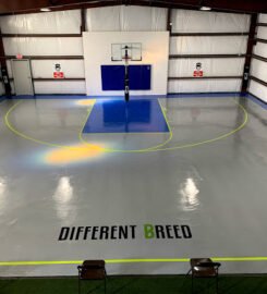 Different Breed Performance Training