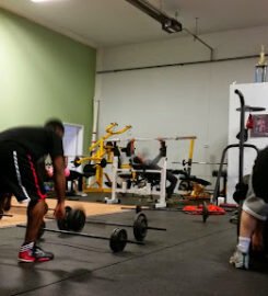 BEDROC MMA