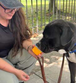 Albany Dog Trainers