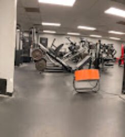Albany Strength