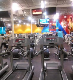 Fitness Connection