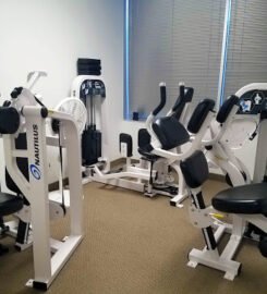 The Perfect Workout