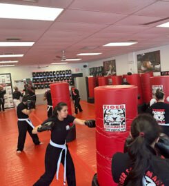 Tiger Schulmann’s Martial Arts (Huntington  NY)