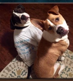 The Pawsitive Center for Dogs Inc