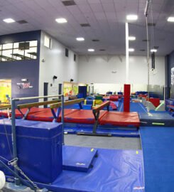 Gold Medal Gymnastics