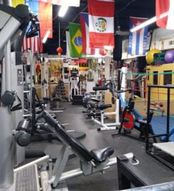 gladiator sports fitness mma