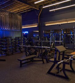 The Open Gym at HYLO Fitness