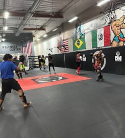 Ultimate Kombat Fitness