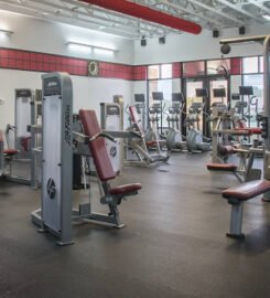 Maximize Fitness
