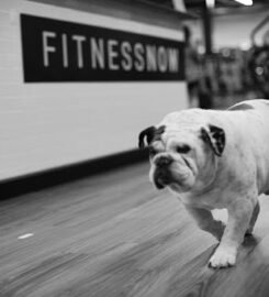Fitness Now