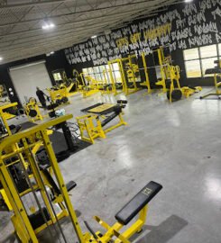 Muscle Warehouse