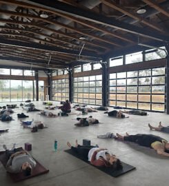 Beth Cosi Yoga & Somatic Movement Therapy | Online Classes | Retreats