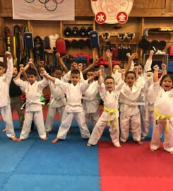 Karate Shorin