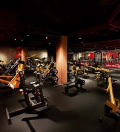 JOHN REED Fitness