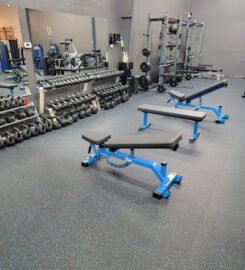 Evolve Fitness Tampa