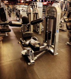 Elite Fitness