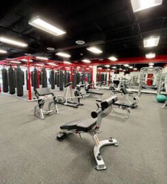 Knockout Fitness