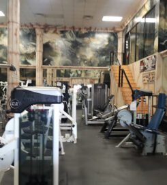 Olympus Muscle & Fitness
