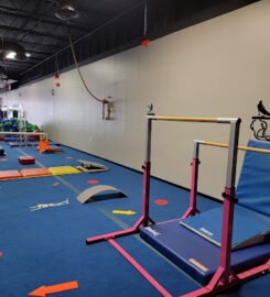 Little Stars Gymnastics