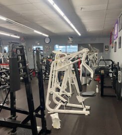 American Muscle & Fitness