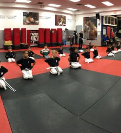 Tiger Schulmann’s Martial Arts (Nanuet  NY)