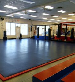 Martial Arts University