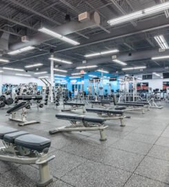 Blink Fitness Wissinoming