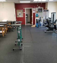 Professional Physical Therapy