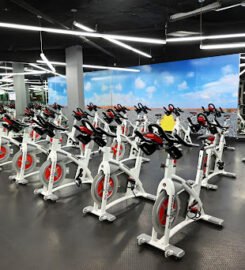 24 Hour Fitness