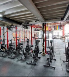 Live Free Gym