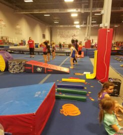 Gold Medal Gymnastics
