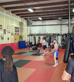 Modern Warrior MMA  LLC.